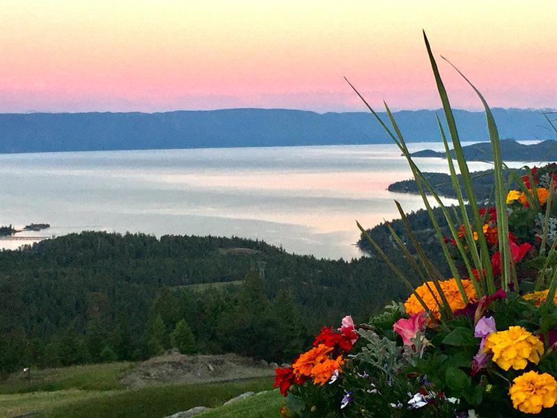 Bed and Breakfast Coyote Bluff Estate Somers Esterno foto